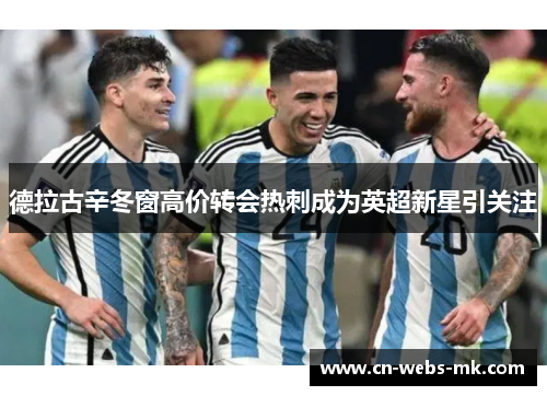 德拉古辛冬窗高价转会热刺成为英超新星引关注