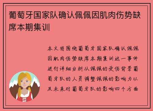 葡萄牙国家队确认佩佩因肌肉伤势缺席本期集训
